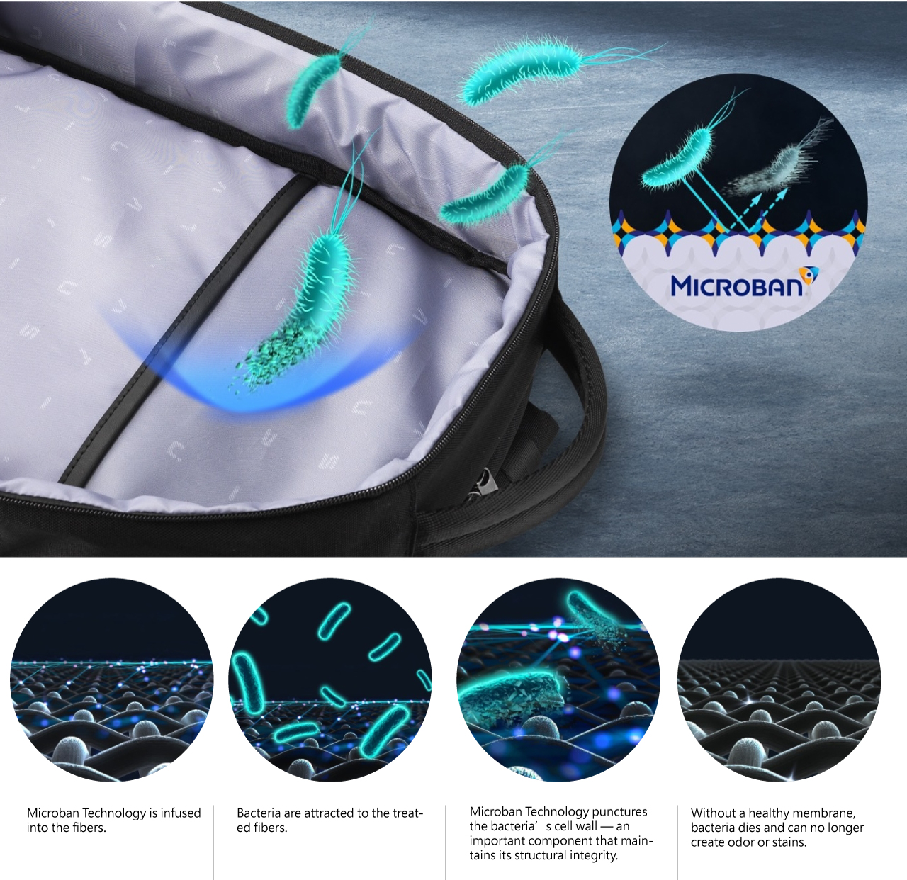  ASUS ProArt backpack details